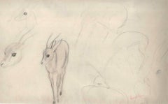 Roe Sketches - Original Pencil Drawing by Ernest Rouart - 1890s