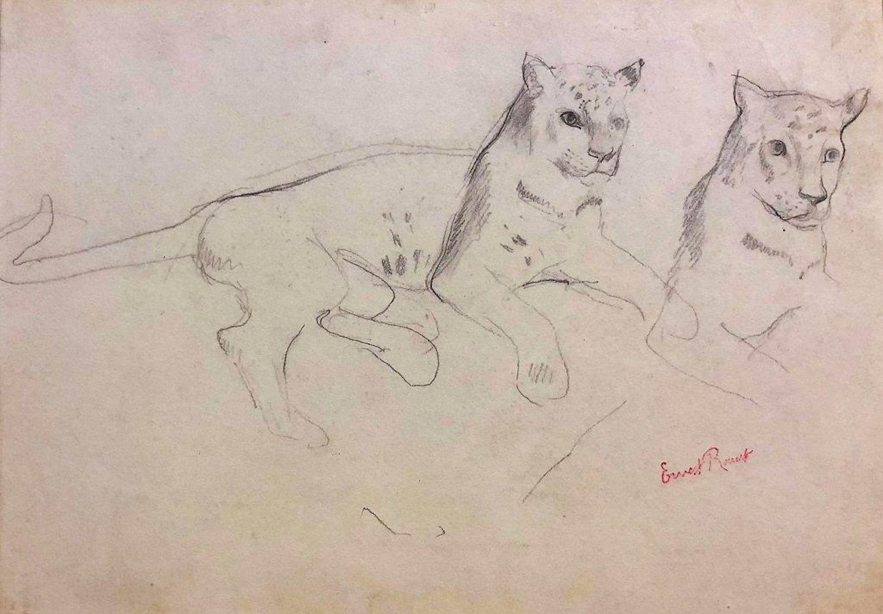 Couple of Cheetahs - Original Pencil Drawing by Ernest Rouart - Early 1900