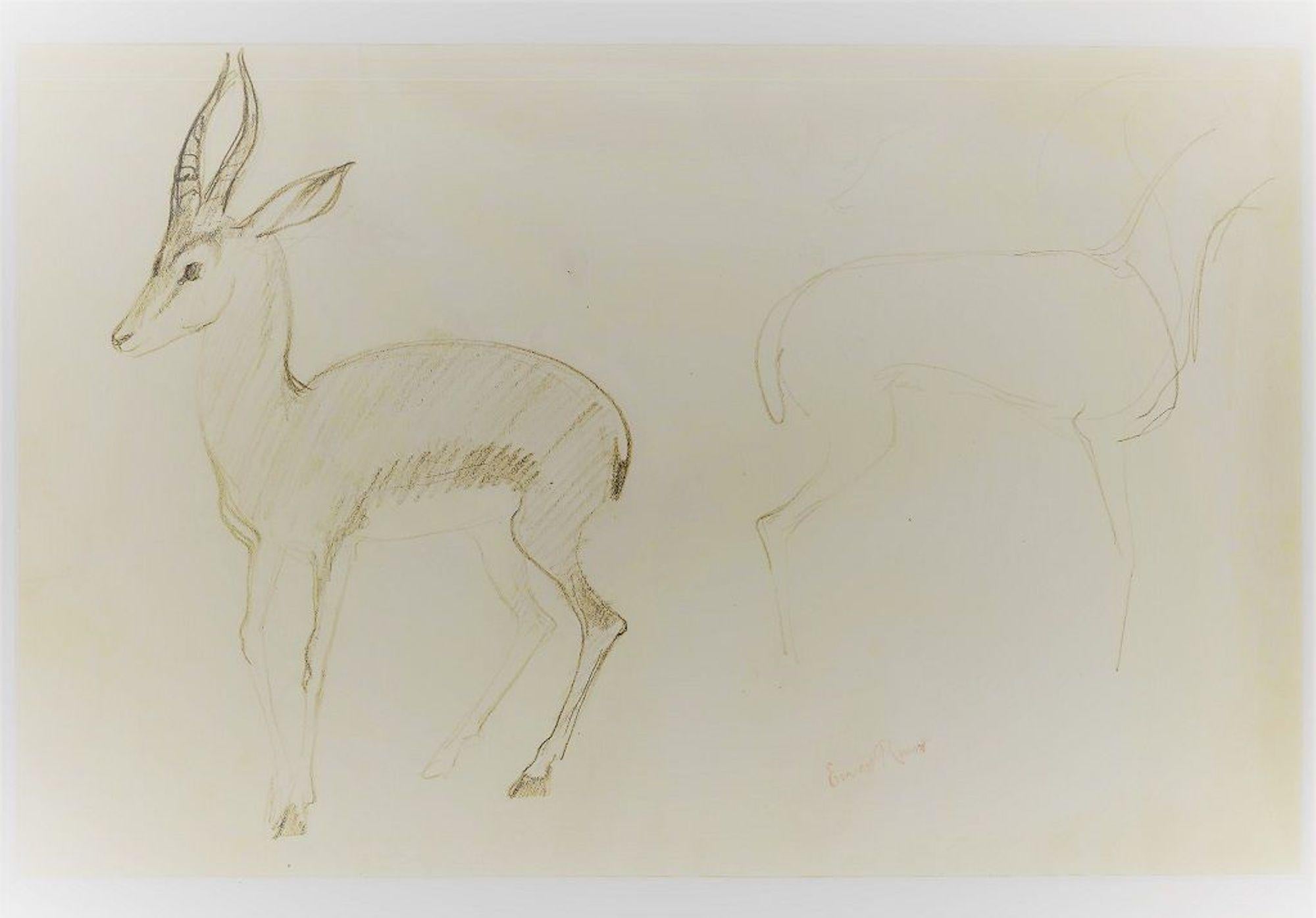 drawings of deers