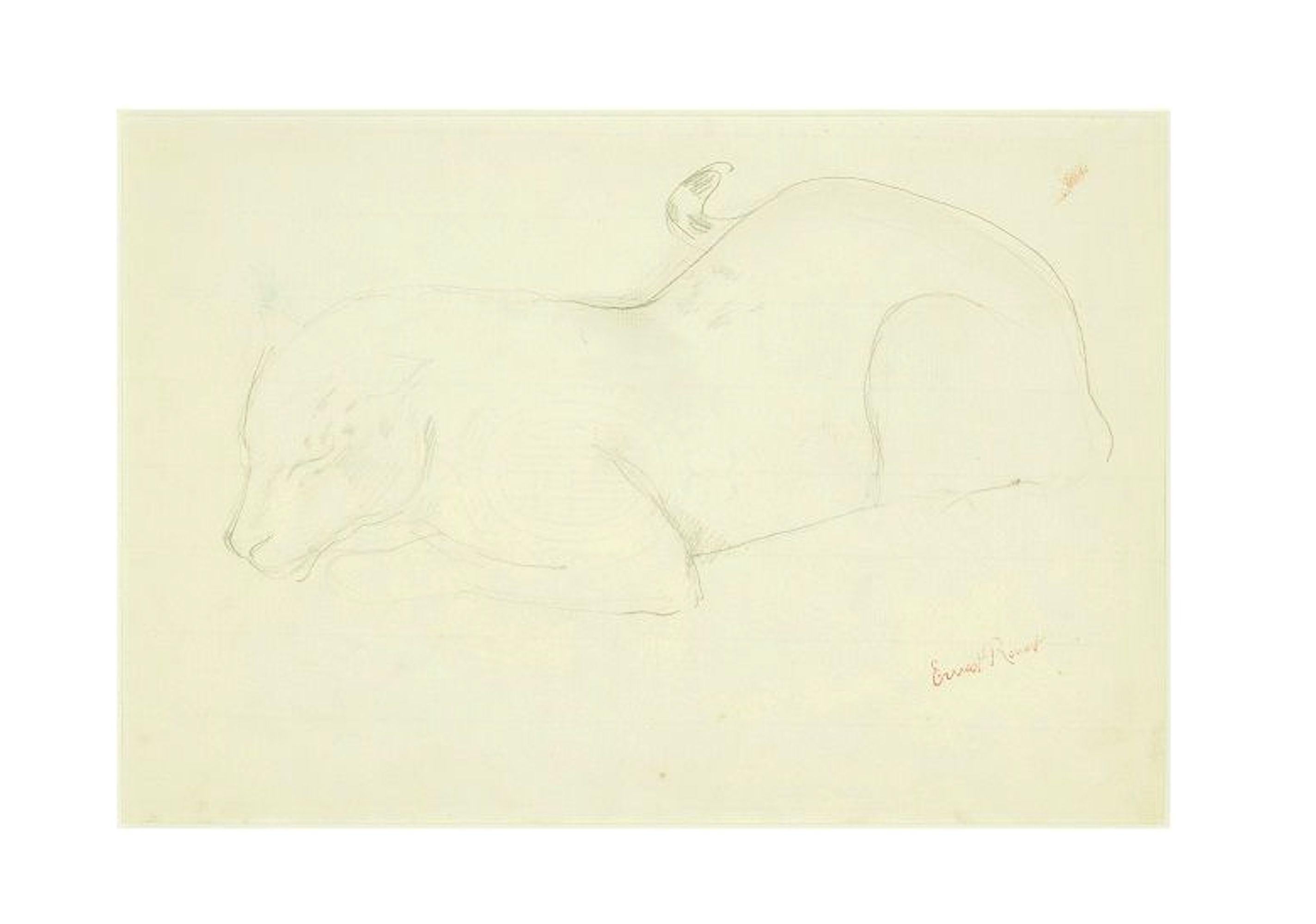 Feline Sleeping - Original Pencil Drawing by Ernest Rouart - 1890s