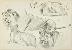 Sketch of Lions - Original Pencil Drawing by Willy Lorenz - Mid 20th Century