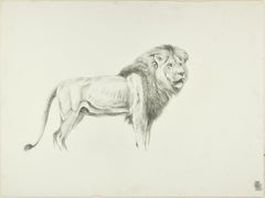Profile of Lion - Original Pencil Drawing by Willy Lorenz - Mid 20th Century