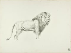 Vintage Profile of Lion - Original Pencil Drawing by Willy Lorenz - Mid 20th Century