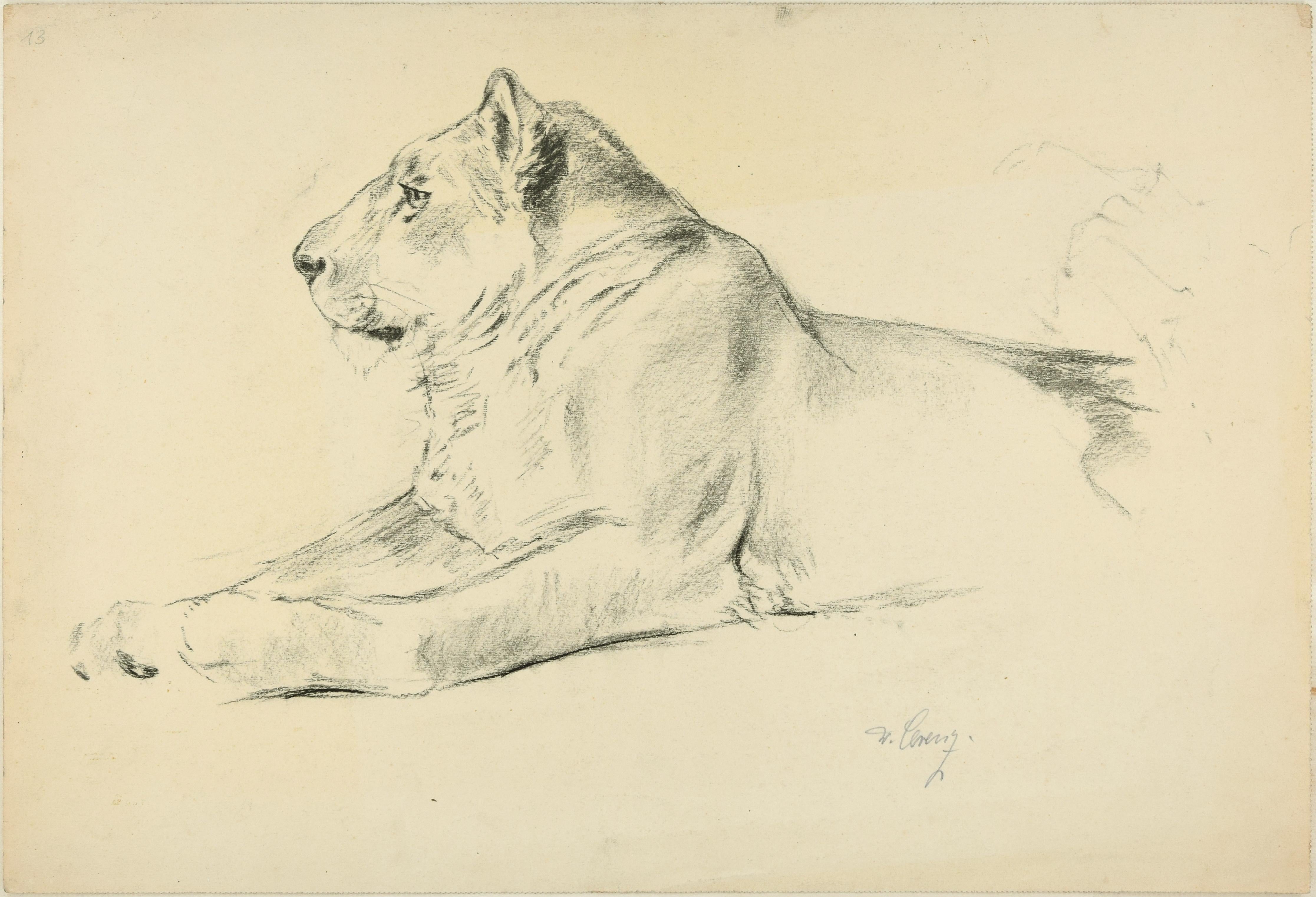 Wilhelm Lorenz Figurative Art – Lioness – Original Bleistiftzeichnung von Willy Lorenz – 1940er Jahre