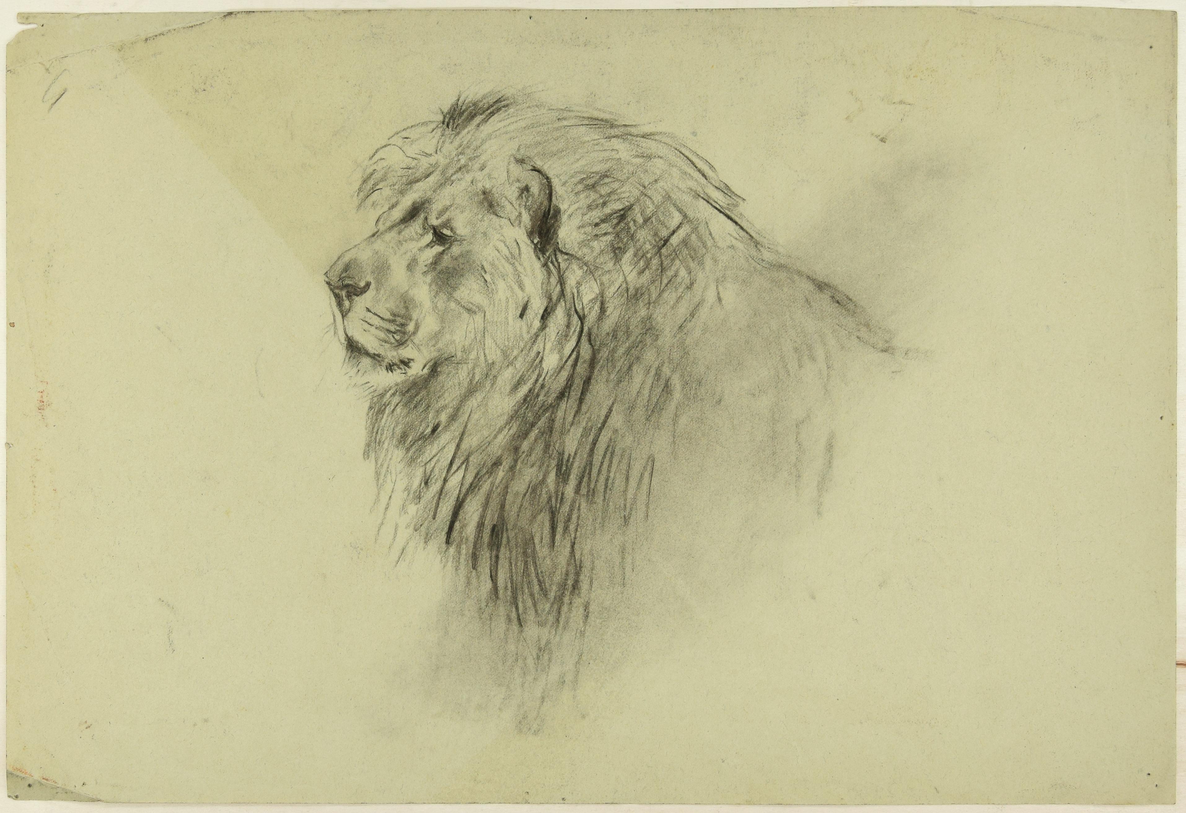 Wilhelm Lorenz Figurative Art - Lion and Deers - Original Charcoal Drawing by Willy Lorenz - 1940s