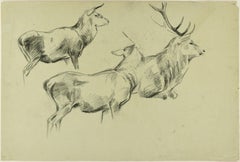 Lion and Deers - Original Charcoal Drawing by Willy Lorenz - 1940s