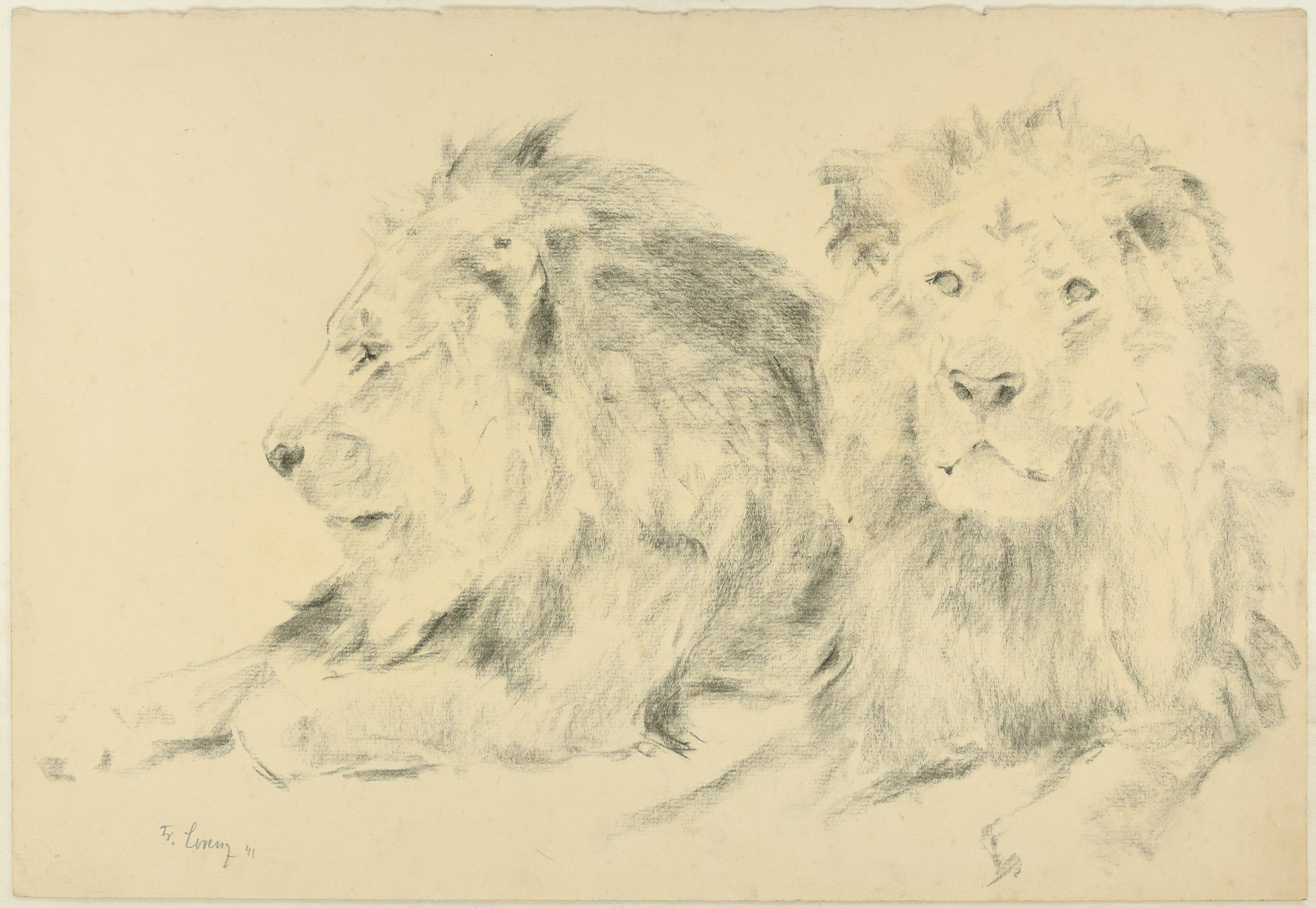 Wilhelm Lorenz Figurative Art - Two Lions - Original Pencil Drawing by Willy Lorenz - 1941