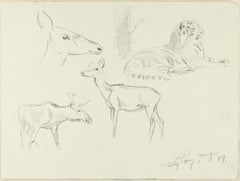 Étude d'animaux - dessin original au crayon de Willy Lorenz - années 1940
