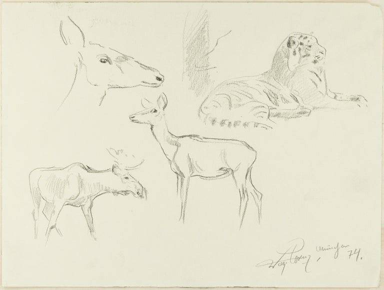 Wilhelm Lorenz - Study of Animals - Original Pencil Drawing by Willy Lorenz  - 1940s For Sale at 1stDibs