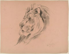 Vintage Profile of a Lion - Original Charcoal Drawing by Willy Lorenz - 1940s