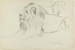 Lying Down Lion - Original Pencil Drawing by Willy Lorenz - 1940s