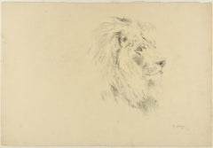 Lion - Original Charcoal Drawing by Willy Lorenz - 1971