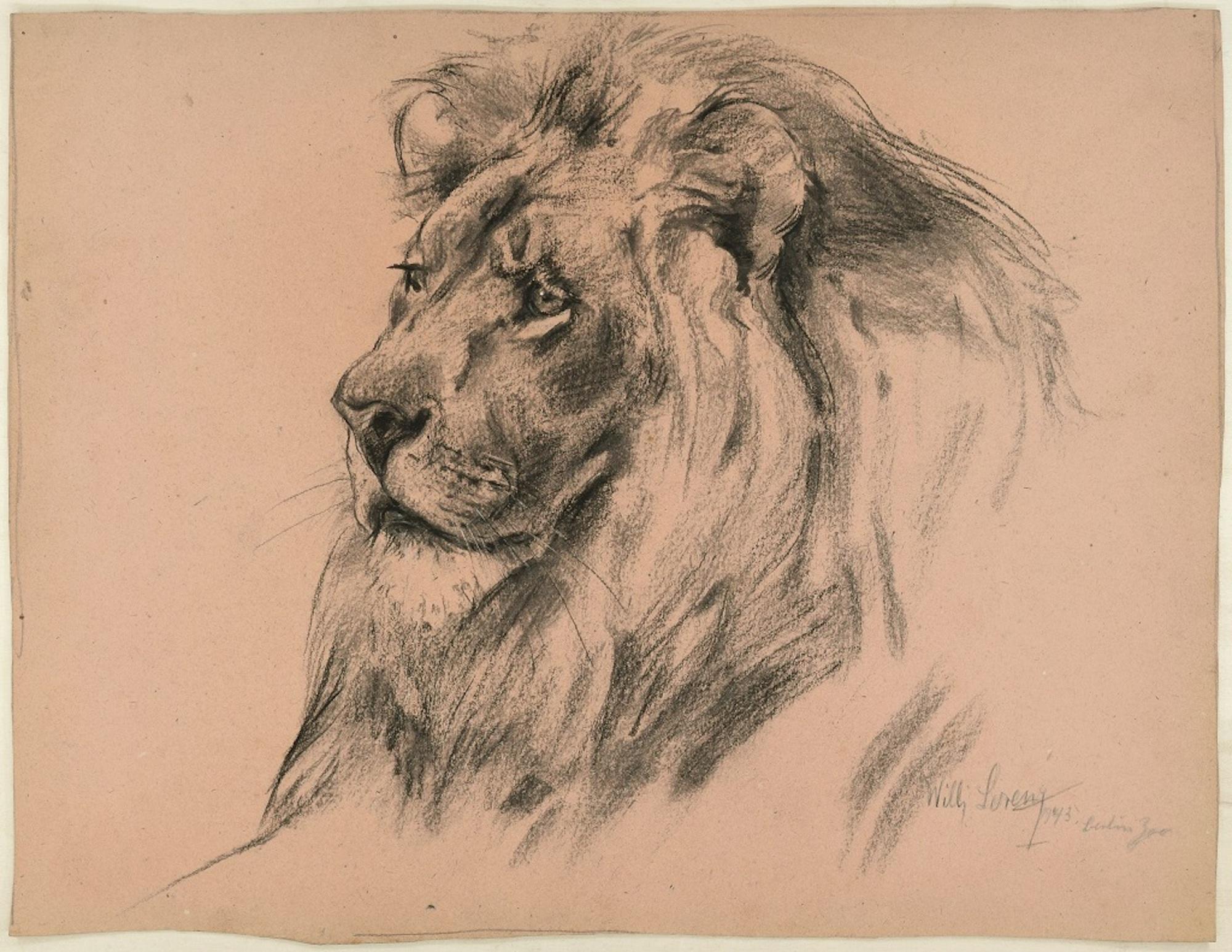 Wilhelm Lorenz Animal Art - Lion - Original Charcoal Drawing by Willy Lorenz - 1943