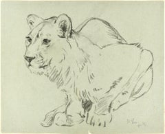 Crouched Lioness and Rabbits - Original Pencil Drawing by Willy Lorenz - 1971