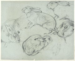 Crouched Lioness and Rabbits - Original Pencil Drawing by Willy Lorenz - 1971