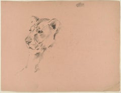 Lioness and Hunter - Original Charcoal Drawing by Willy Lorenz - 1970s