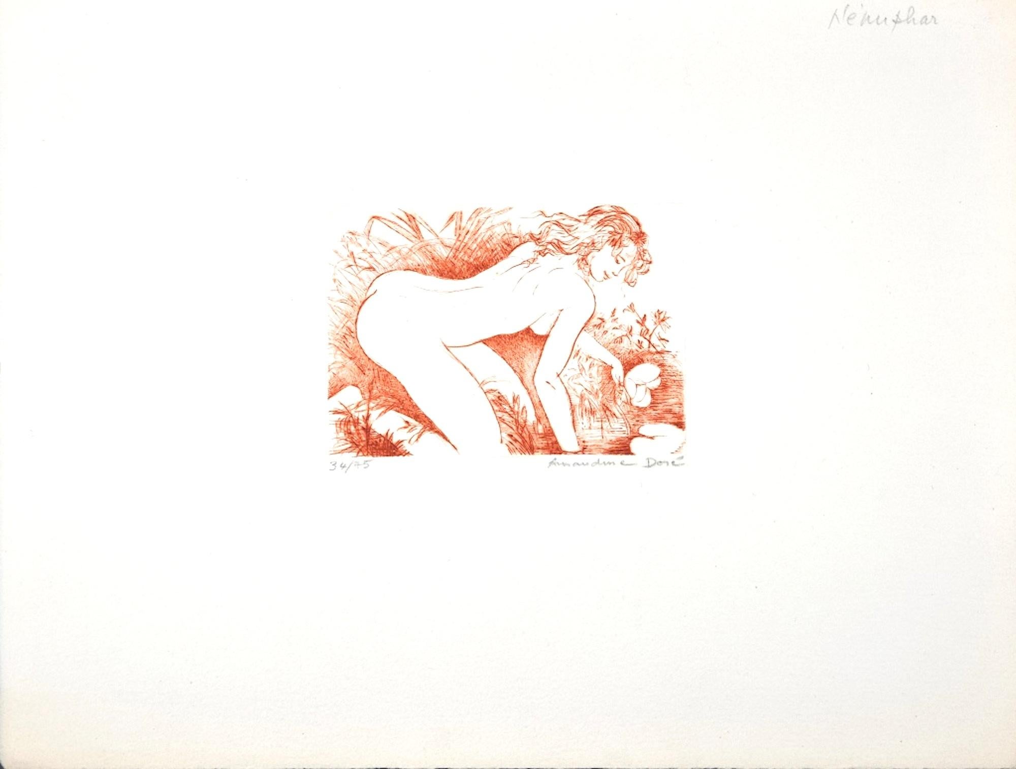 Nénuphar - Original Etching ad Drypoint by A. Doré - 1950s - Print by Amandine Doré