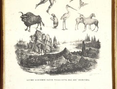 Discoveries On The Moon - 20th Century - Gaetano Dura - Lithograph - Old Masters