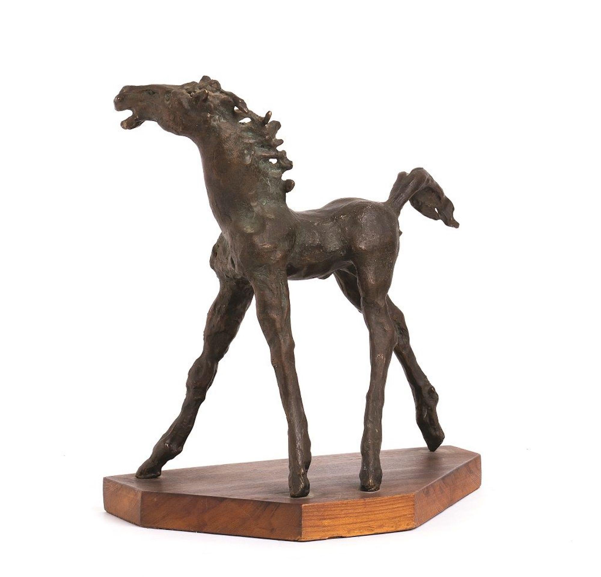 Augusto Murer Figurative Sculpture - Horse  - Original Bronze Sculpture by A. Murer - 1975