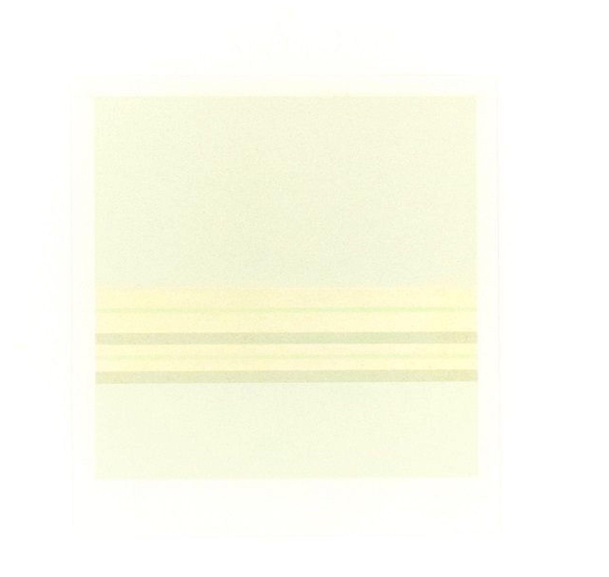 Image dimensions: 18 x 18 cm.

Green stripes is an original colored serigraph on paper, realized by the Italian artist Antonio Calderara  (1903-1978) and published in 1978 by La Nuova Foglio, a publishing house of Macerata, Italy. 

The original