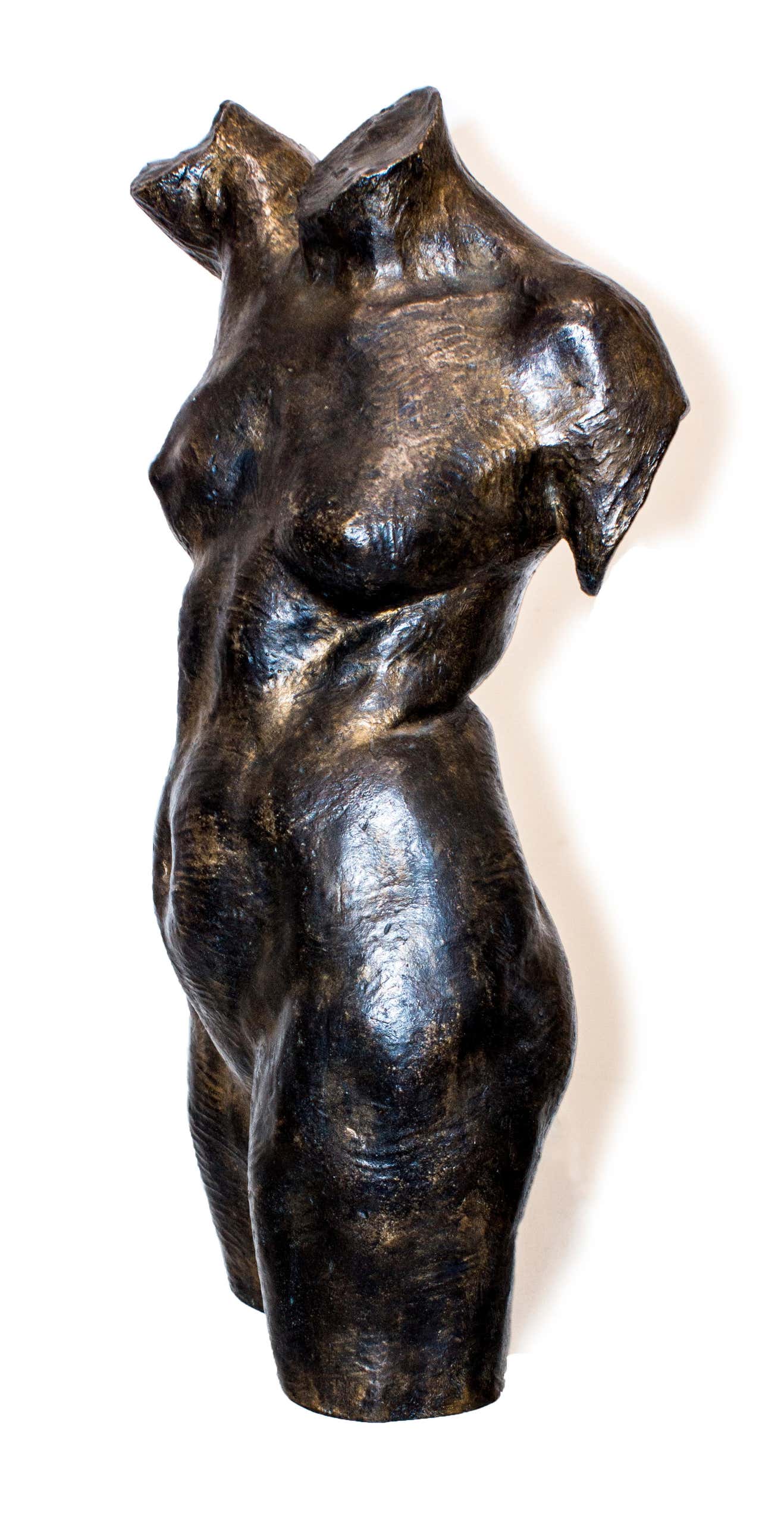 Aurelio Mistruzzi Woman's Chest Bronze Sculpture by Aurelio