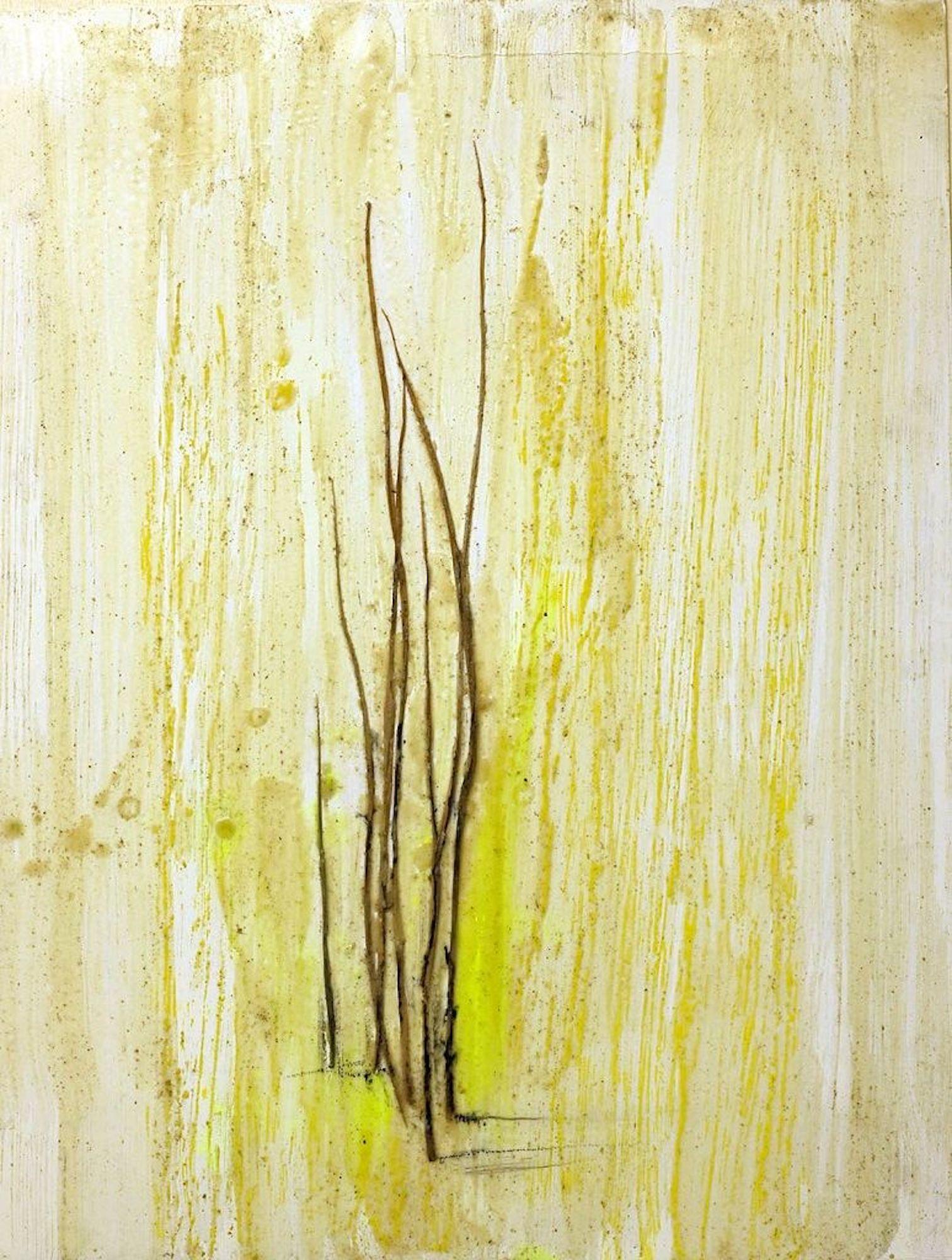 Grass Marks - wax pigments and grass blades - by Claudio Palmieri - 2010