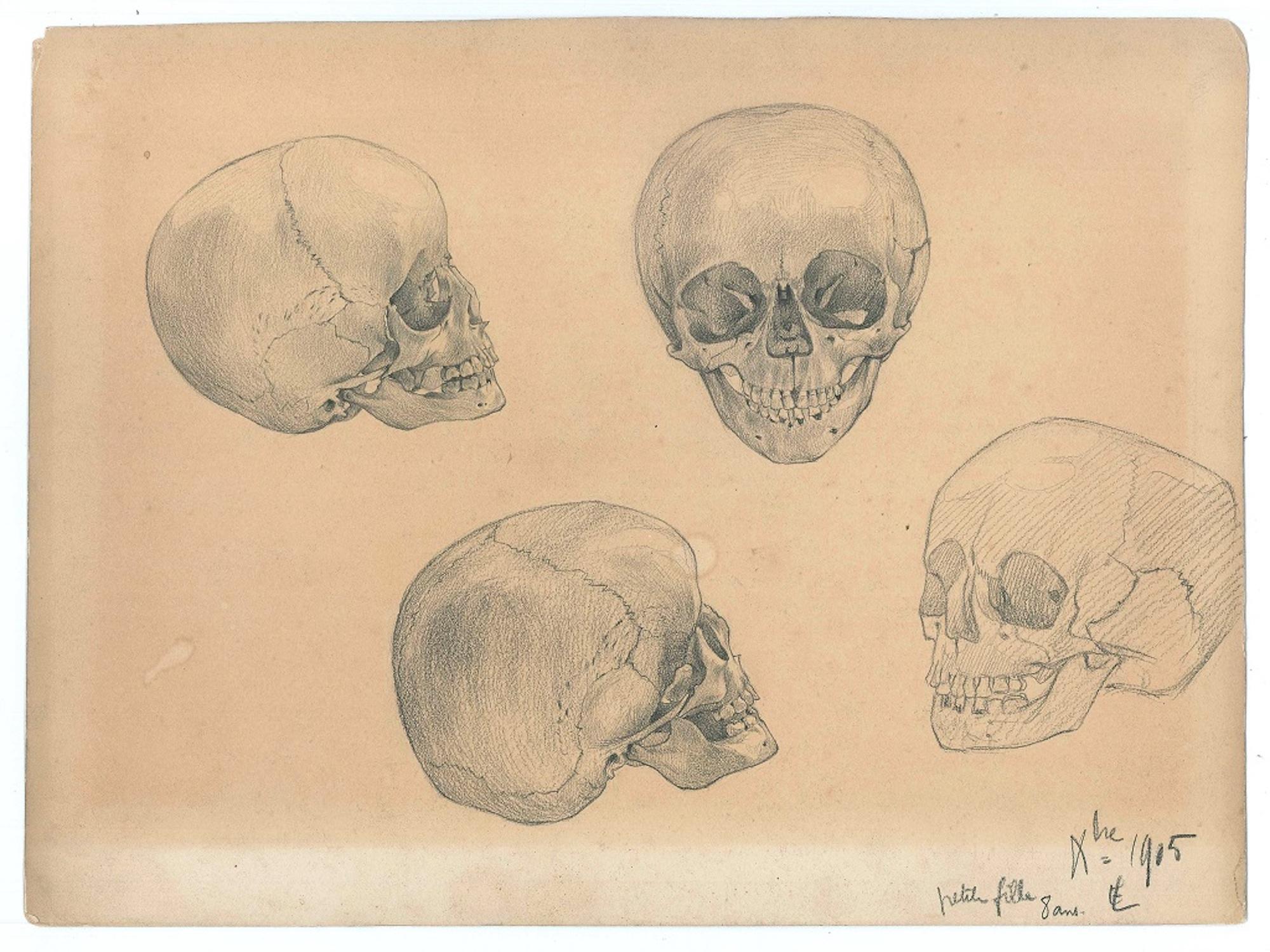 Petite Fille is a wonderful original pencil drawing on ivory-colored cardboard realized in 1905 by a French artist of XX century. 

This modern artwork represents an anatomical study of a skull of a child of 8 years in four different points of