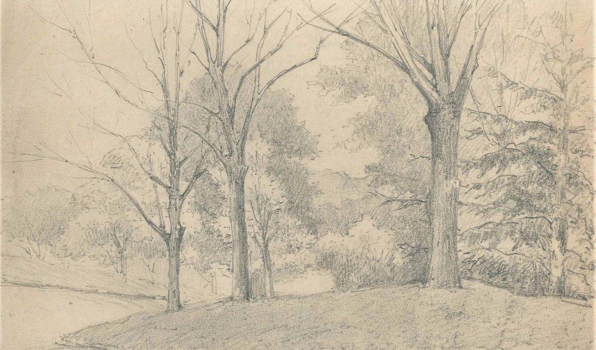 Emile-Louis Minet Figurative Art – Trees on the Hill - Charcoal by E.-L. Minet - Early 1900