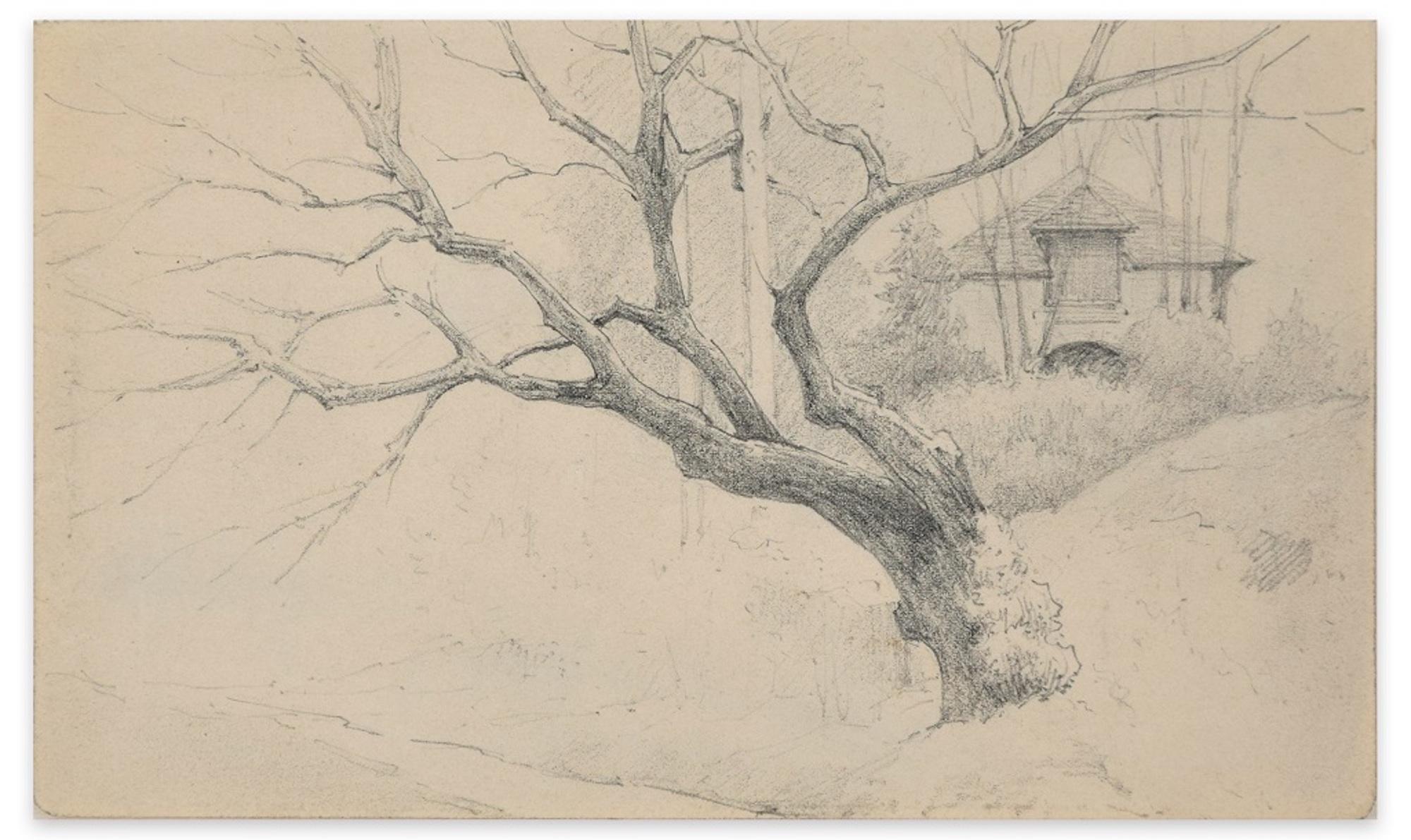 arbre et maison - Fusain par E.-L. Minet, début de l'ère 1900