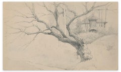 Antique Tree and House - Charcoal by E.-L. Minet - Early 1900