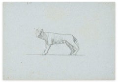 Capitoline She-Wolf - Pencil Drawing by M. Dumas - 1850s