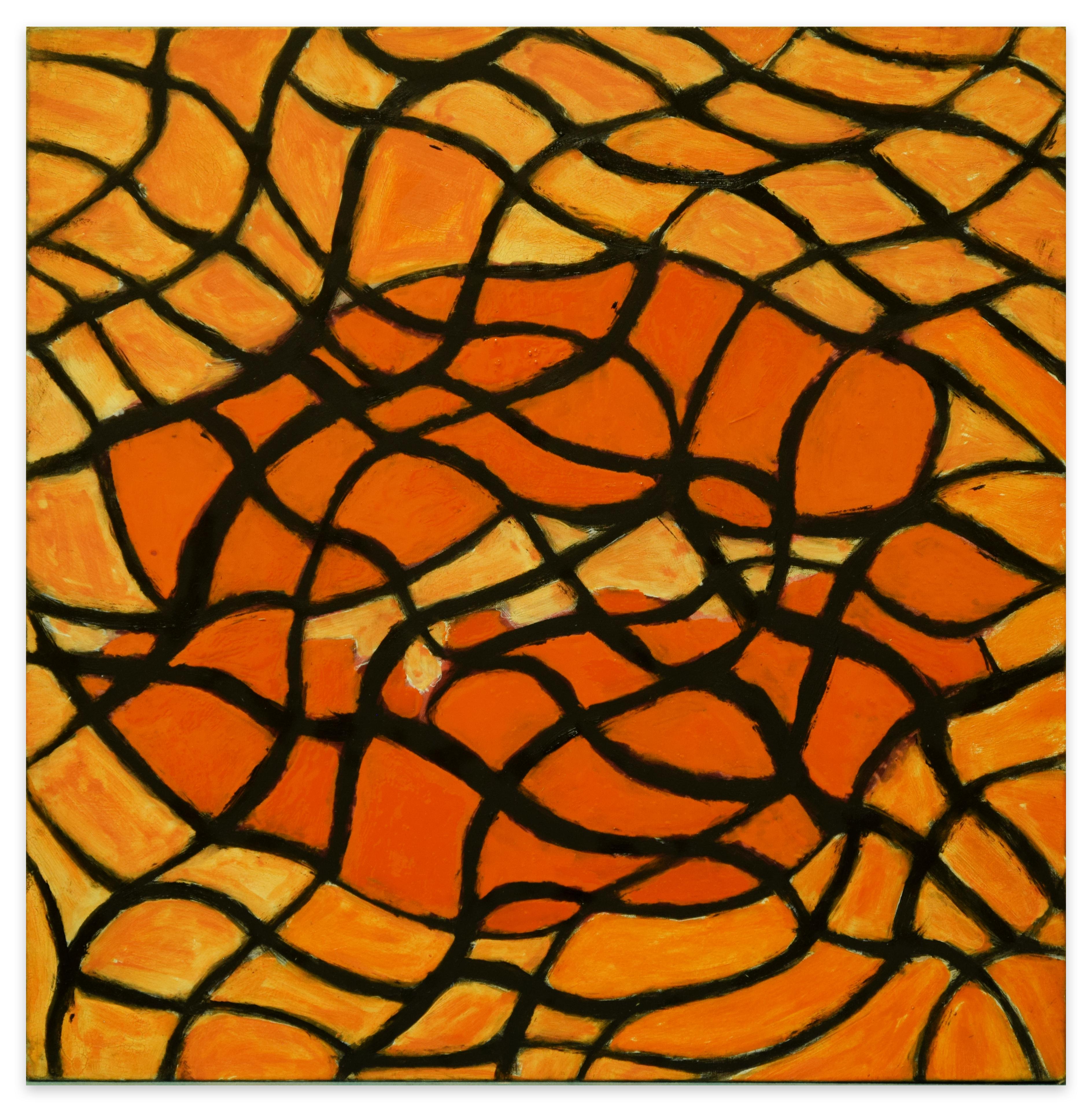 Reticulum is an original artwork realized by Giorgio Lo Fermo in 2019.

Original colored enamel on canvas.

Hand-signed and dated on the back.

The artwork is a beautiful abstract artwork representing a beautiful lattice on the tones of