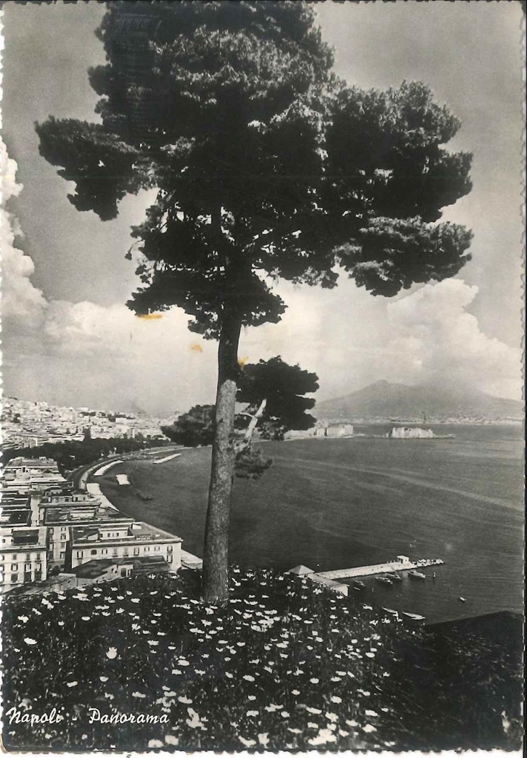 Cocteau's Postcard is a PASs.d.n. l.  Autograph Postcard Signed, and written by Jean Cocteau (1889 -1963) addressed to the Countess Anna Laetitia Pecci-Blunt.

In French. Without postmarks or date, likely datable around 1953. Sent from Neaples.

