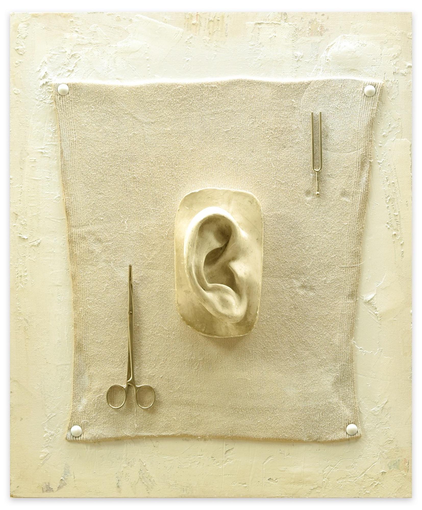 amici artist