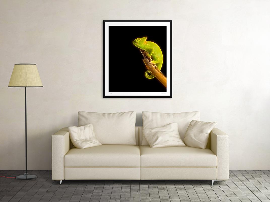 Image dimensions: 70 x 61.8 cm.

Leo is an original giclée print realized by the contemporary artist Dadodu in 2019.

This original artwork represents a chameleon with neon lights on a black background.

Hand-signed on the lower right 