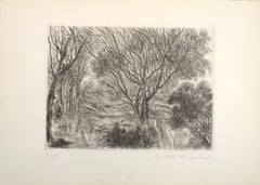 Allé sous bois - Original Etching and Drypoint on Paper - 1980s