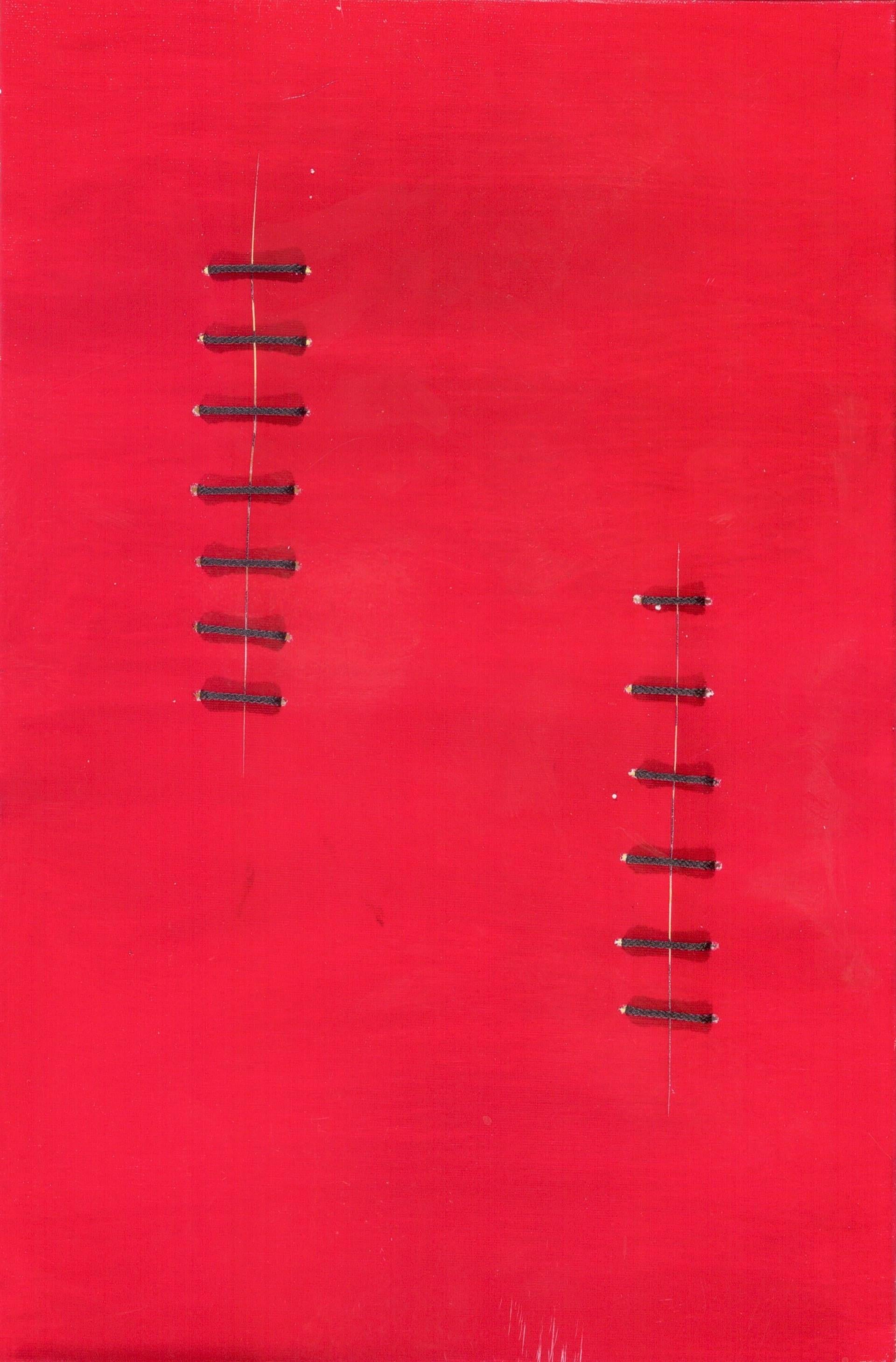 Seams on Red - Original Acrylic Painting by Mario Bigetti - 2019 1