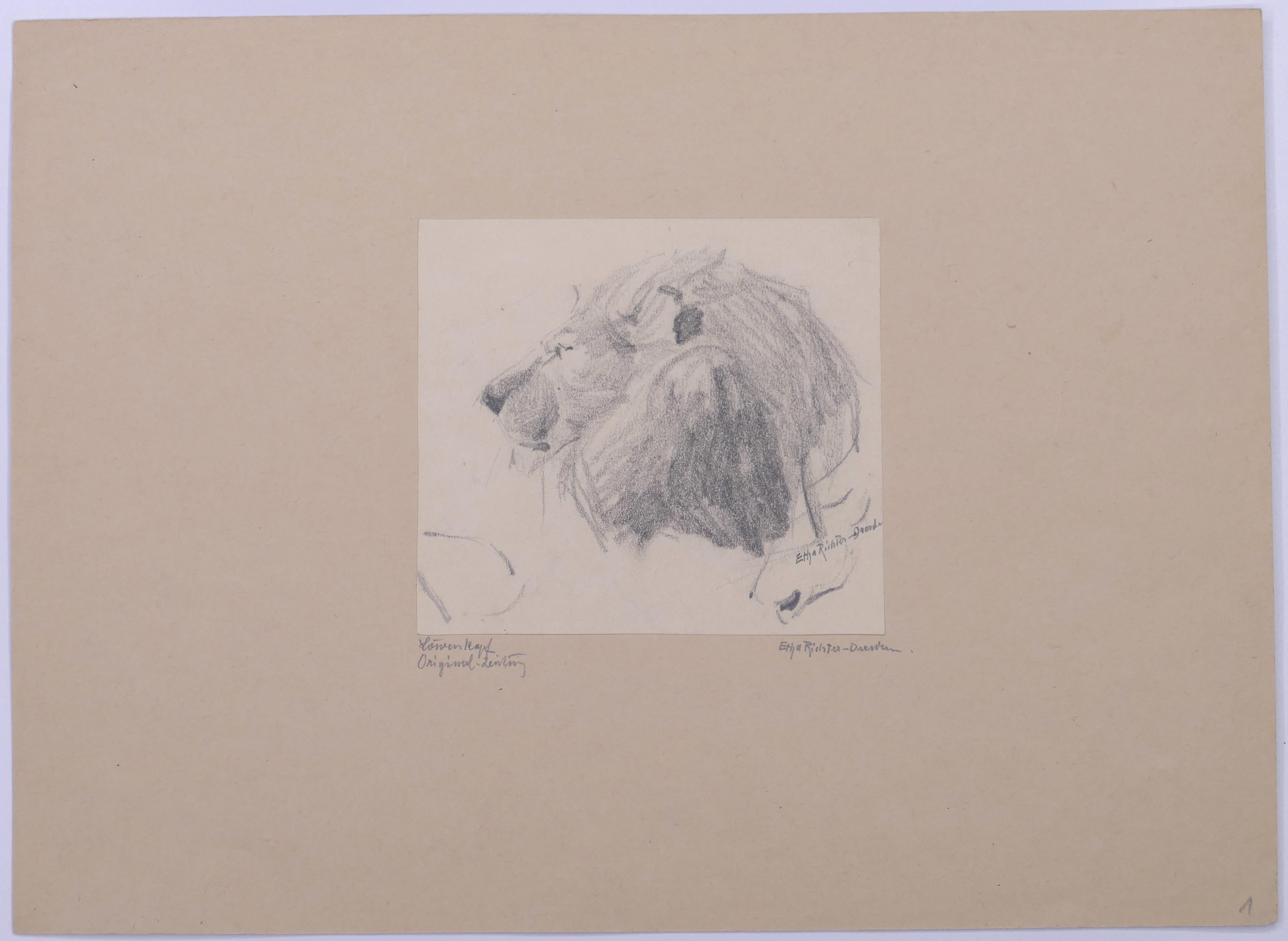 Kopf des Löwen – Bleistiftzeichnung von Etha Richter – 1930er Jahre im Angebot 1