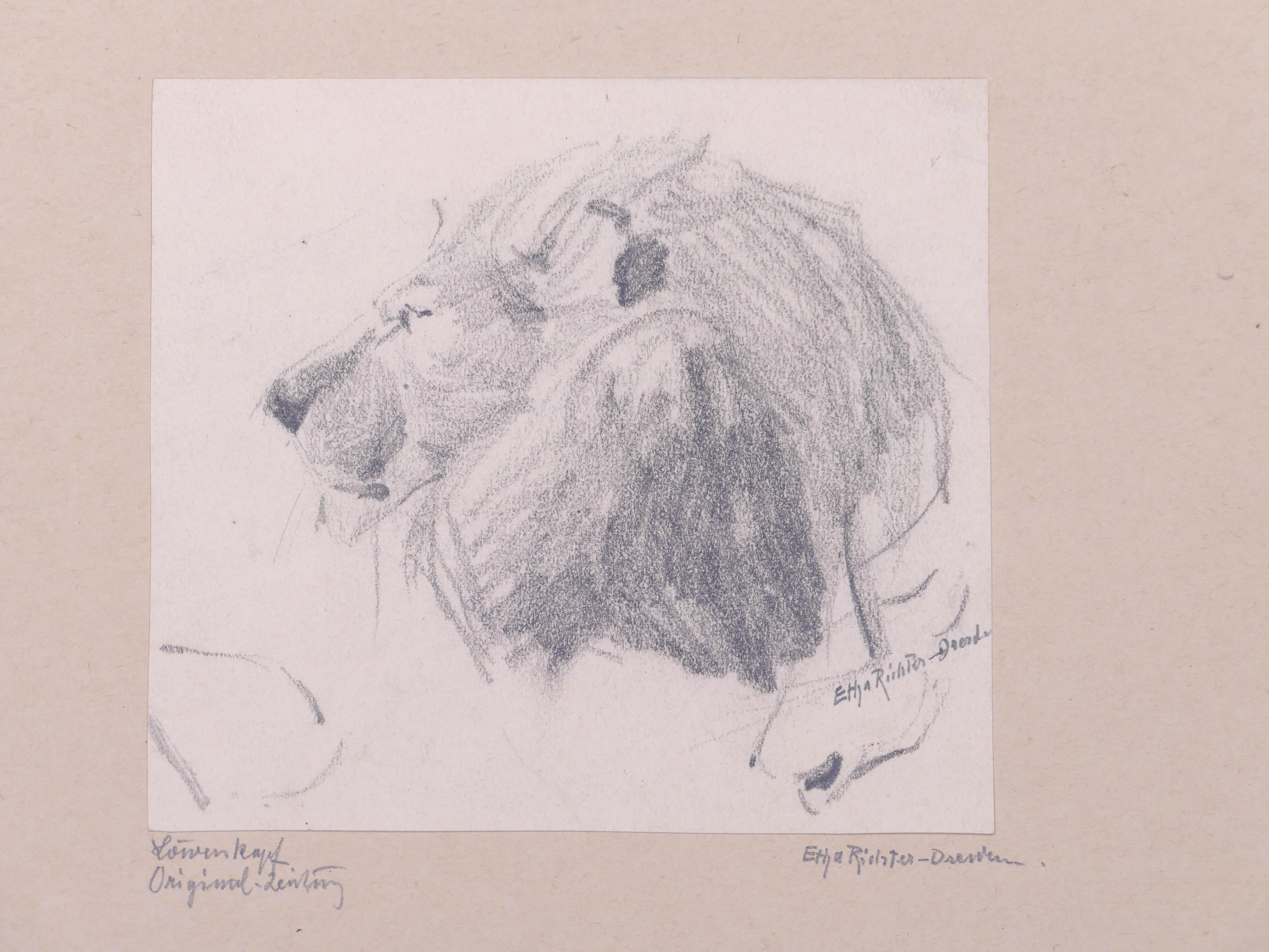 Kopf des Löwen – Bleistiftzeichnung von Etha Richter – 1930er Jahre im Angebot 2