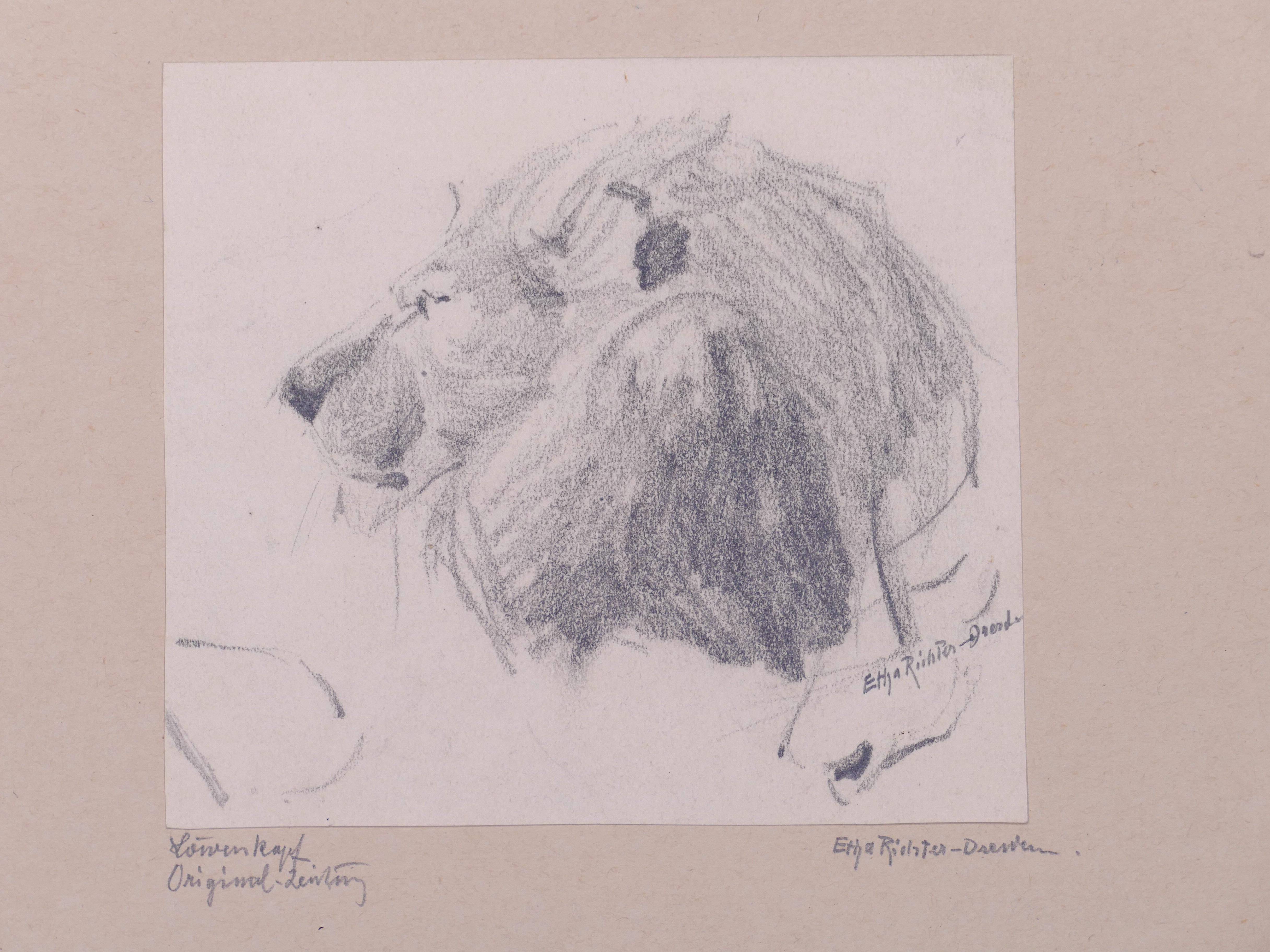 Lion is an original pencil drawing by the German artist Etha Richter (Dresda,1883 - Dresda,1977).

Hand-signed in lead on the lower right: Etha Richter - Dresden. 

On the paper in which the drawing is mounted, the artist signed again specifying it
