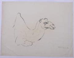 A Lying Camel - Original Pencil Drawing by Etha Richter - 1963