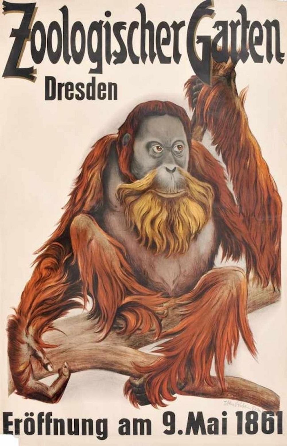 Dresdener Zoologischer Garten - Offsetdruck nach Etha Richter - 1960er Jahre