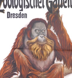 Dresdener Zoologischer Garten - Offsetdruck nach Etha Richter - 1960er Jahre