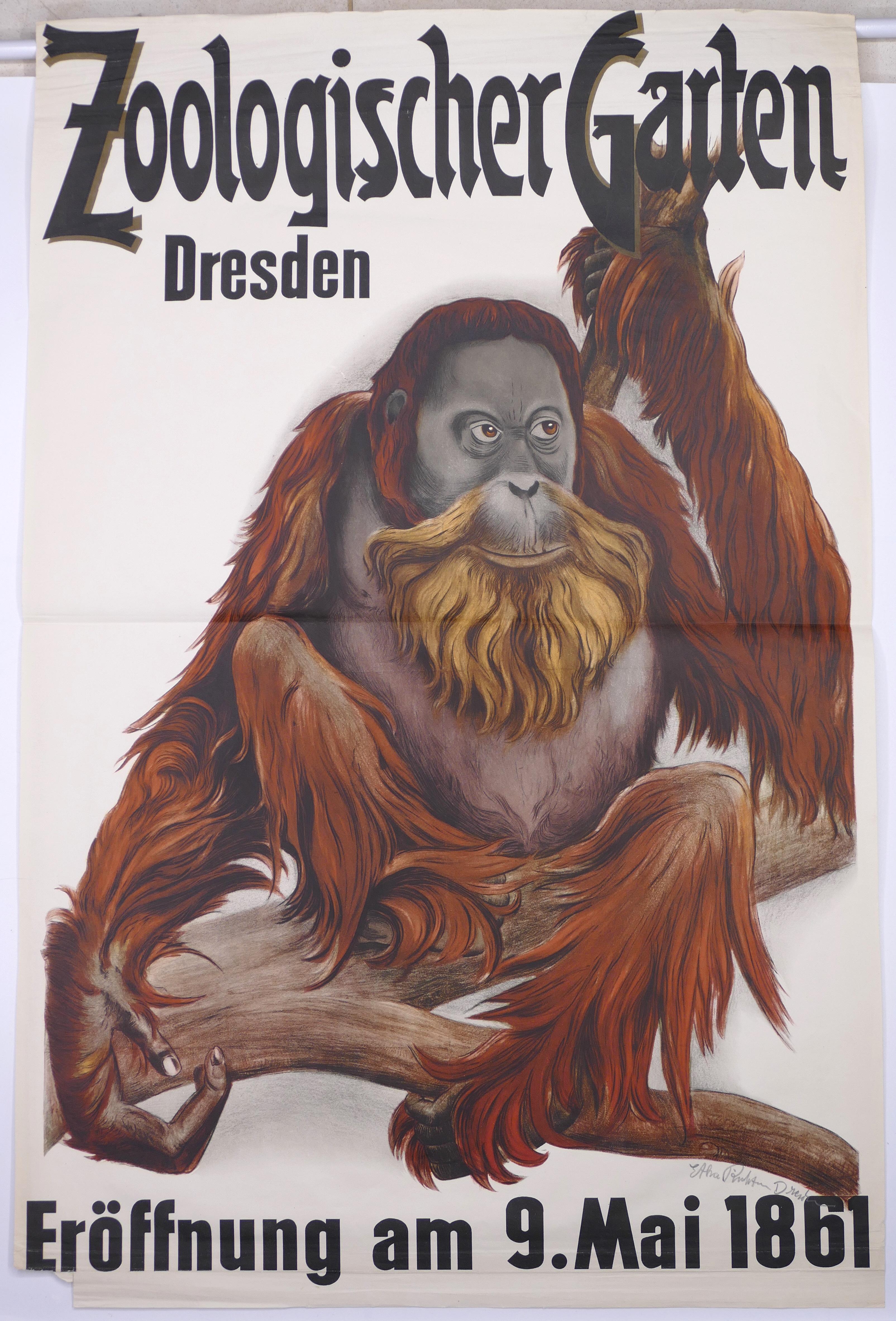 Dresden Zoological Garden is an original color offset print by the German artist Etha Richter (Dresda,1883 - Dresda,1977).

Hand-signed in lead bottom right: Etha Richter Dresden.

The artwork was realized to celebrate the opening of the Dresden Zoo