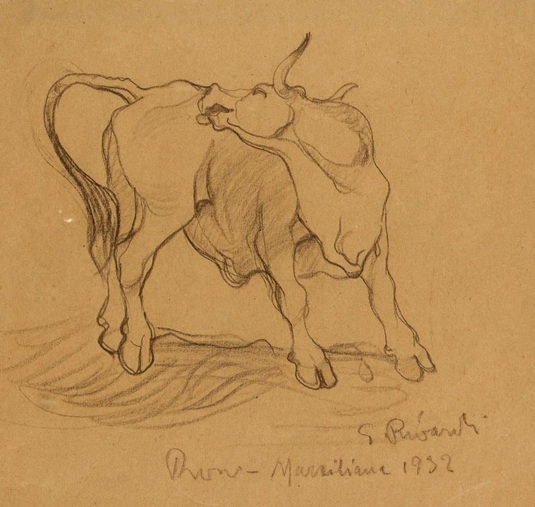 Bull - Original Pencil Drawing by G. Rivaroli . 1932 - Art by Giuseppe Rivaroli