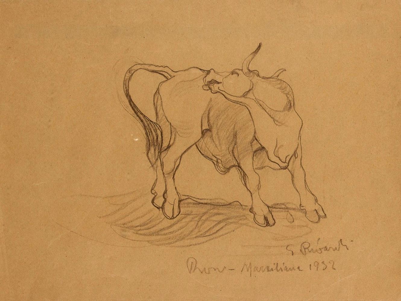 Bull - Original Pencil Drawing by G. Rivaroli . 1932 - Brown Figurative Art by Giuseppe Rivaroli