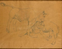 Vintage Oxen - Original Pencil Drawing by G. Rivaroli - 1930s