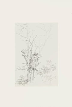 Winter Tree - Pencil Drawing by French Master mid 20th Century