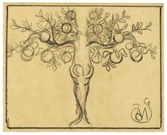 Fruit Tree - Fusain sur papier par A. Mrodack-Jeanneau