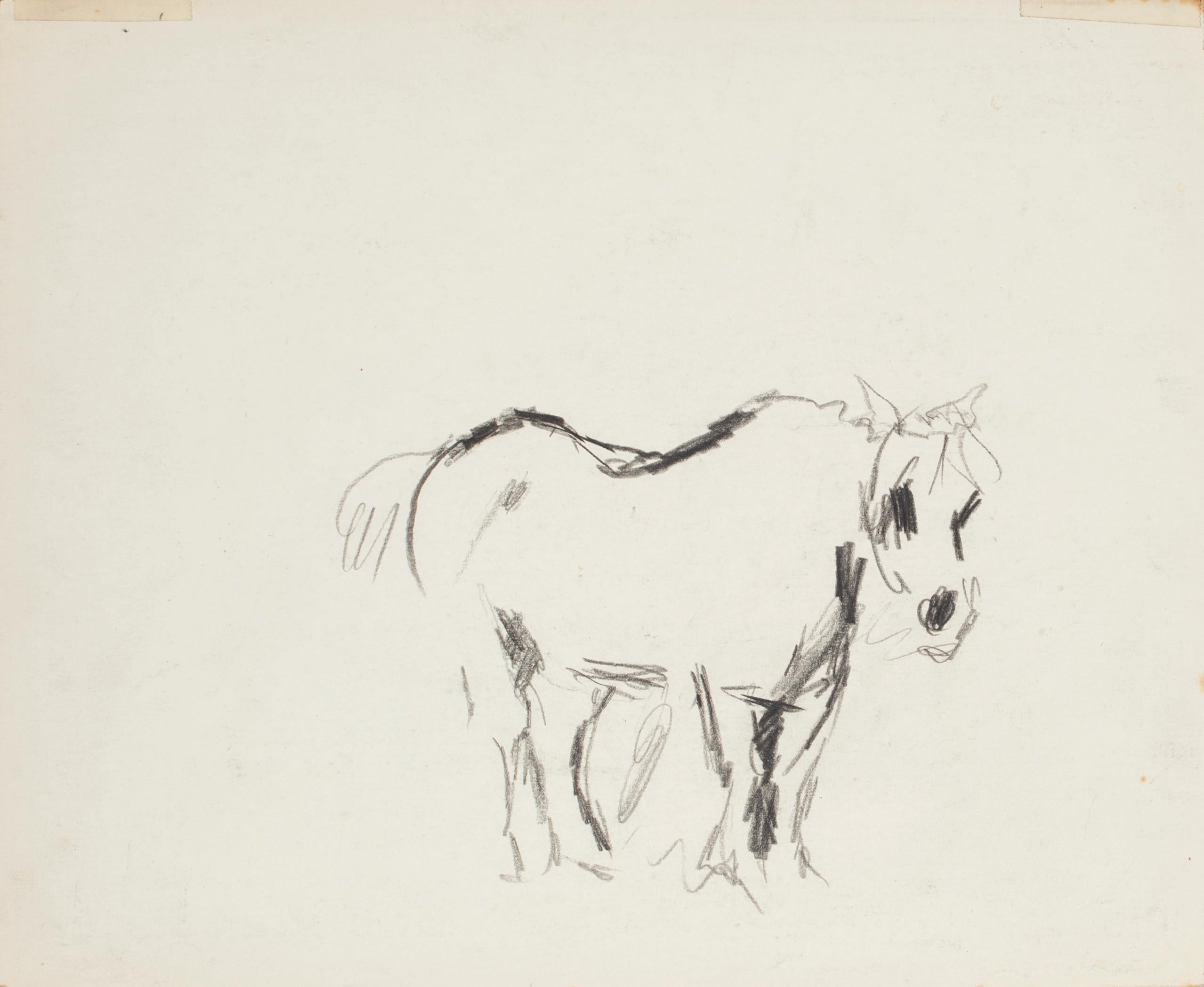 Drawing à l'encre de Chine Cheval - Milieu du XXe siècle - Art de Unknown